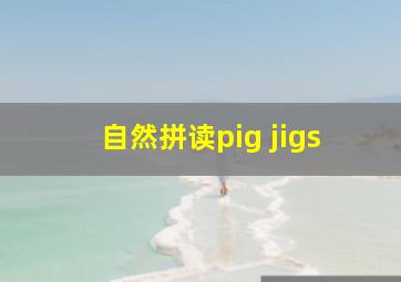 自然拼读pig jigs